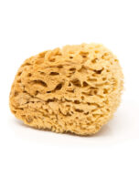 Natural sea sponge Honeycomb brown