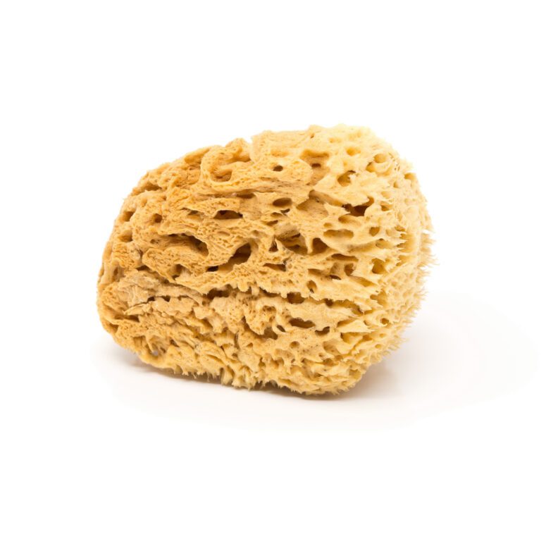Natural sea sponge Honeycomb brown (Natural color)