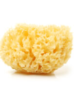 Honeycomb white natural sponge