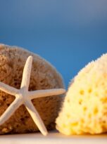 Natural Bath Sea sponge Honeycomb