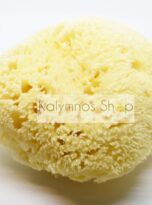Premium honeycomb sponge