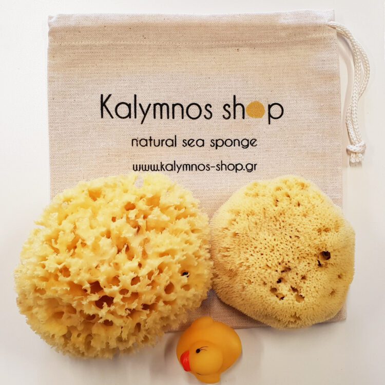 Baby bath sea sponges set