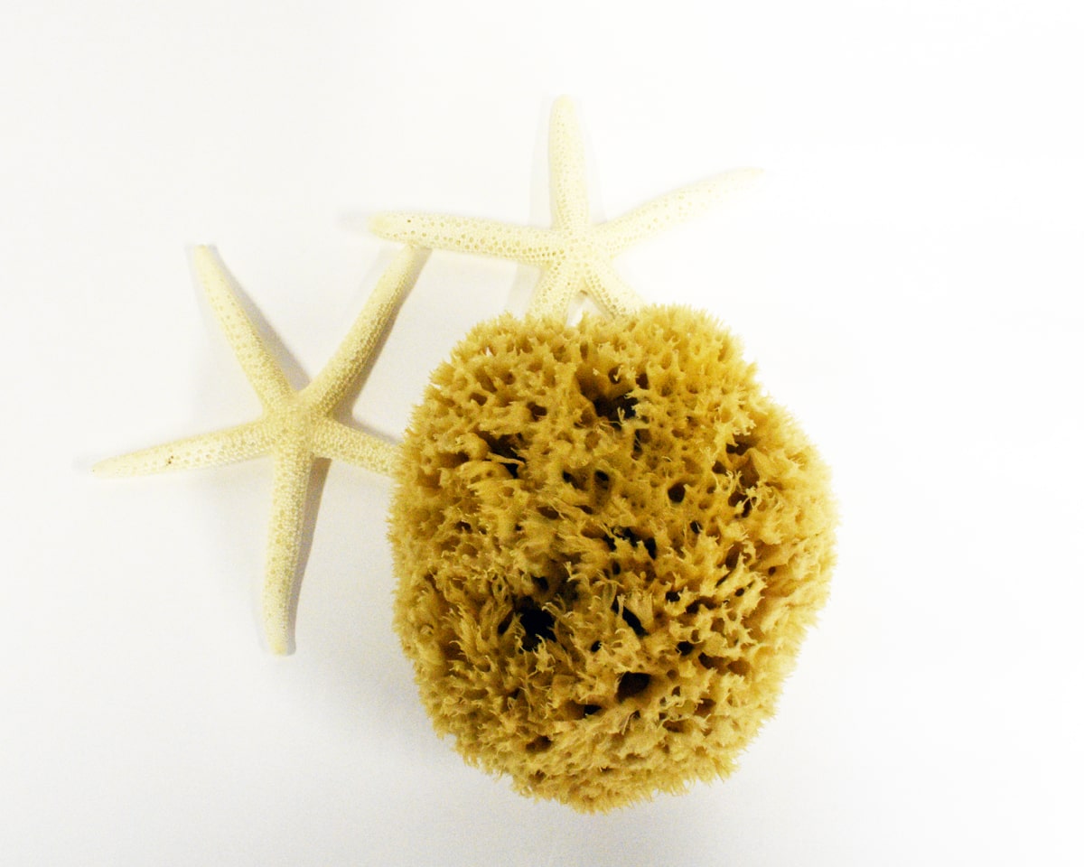 Baby Bath Sea Sponge Honeycomb
