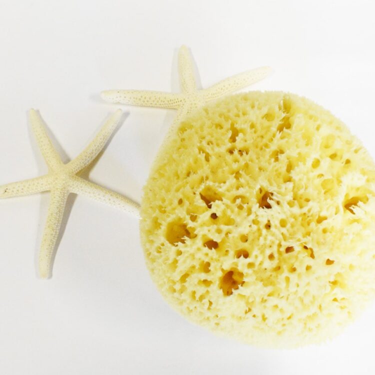 Natural-Kalymnos-Greek-Sea-Sponge-Honeycomb & Soft Silk-Bath-Body-Excellent-Good 
