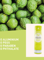 persian-lime2