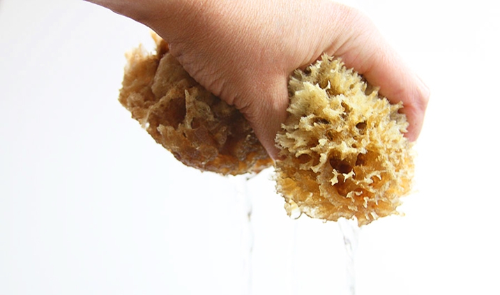 Care for your natural sea sponge