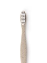 cornstarch-toothbrush-898778-min.jpg